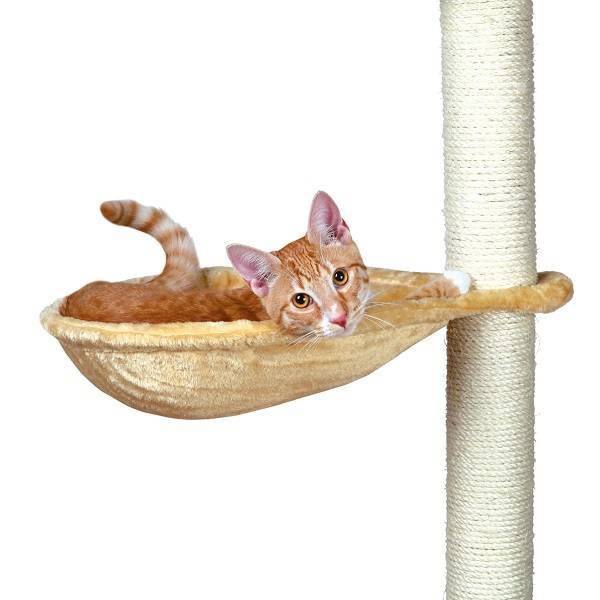 Cat tree sale hammock