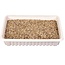 Trixie Cat Grass