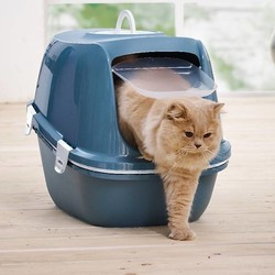 Maine Coon Litter Boxes