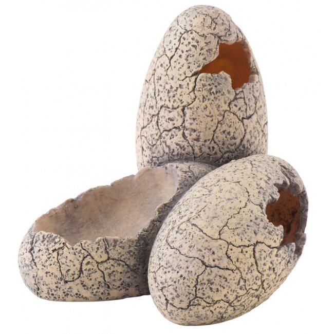 Exo Terra Dinosaur Eggs with water dish