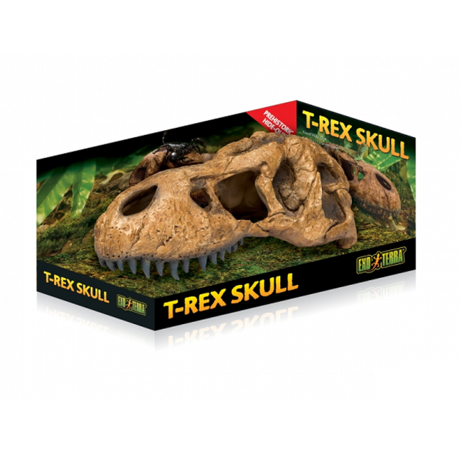 Exo Terra T-Rex Skull