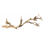 Exo Terra Forest Branch Sandblasted Grape Vine