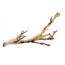 Exo Terra Forest Branch Sandblasted Grape Vine