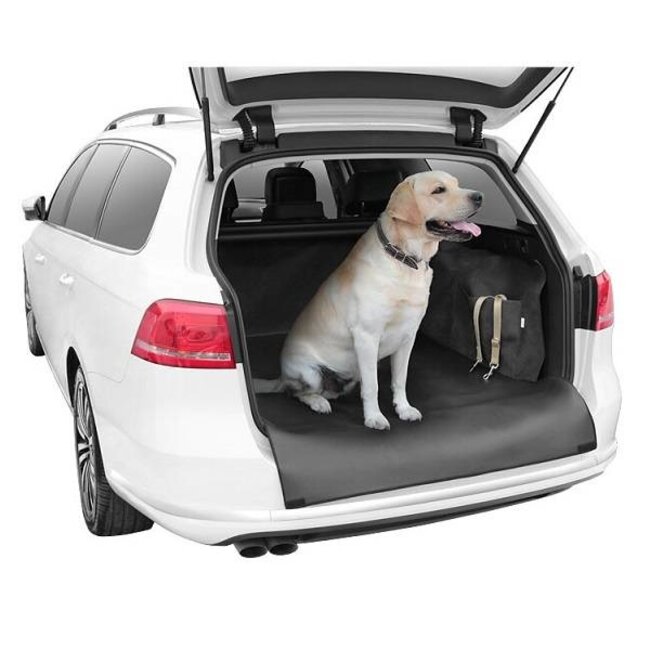 Trunk Protection Blanket Dexter art leather