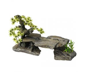 bonsai aquarium decoration