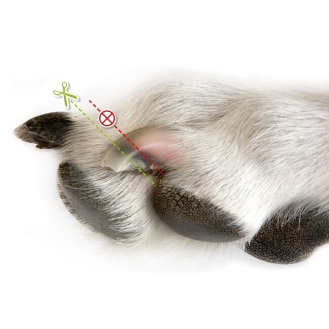 Trixie Claw Scissors