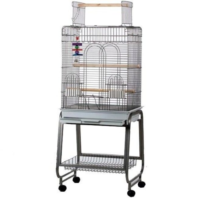 Parrot Cage Aurelia