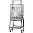 Parrot Cage Aurelia