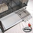 Parrot Cage Aurelia