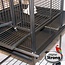 Parrot Cage Helios
