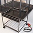 Parrot Cage Minerva