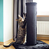 CanadianCat Company Scratching Post Pole 80 cm Black