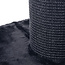 CanadianCat Company Scratching Post Pole 80 cm Black