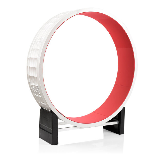 CanadianCat Company Wheel Cat in Motion white/red