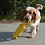 EBI Bite Me Tug Life Rope Toy with 2 Loops