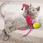 Cat Toys