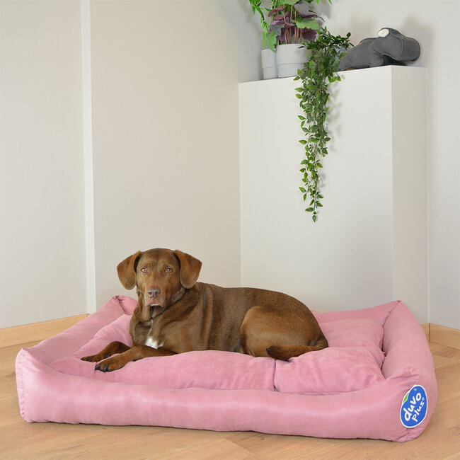 Pink velvet dog bed discount