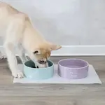 Dog Bowls