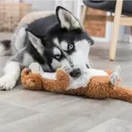 Dog Toys