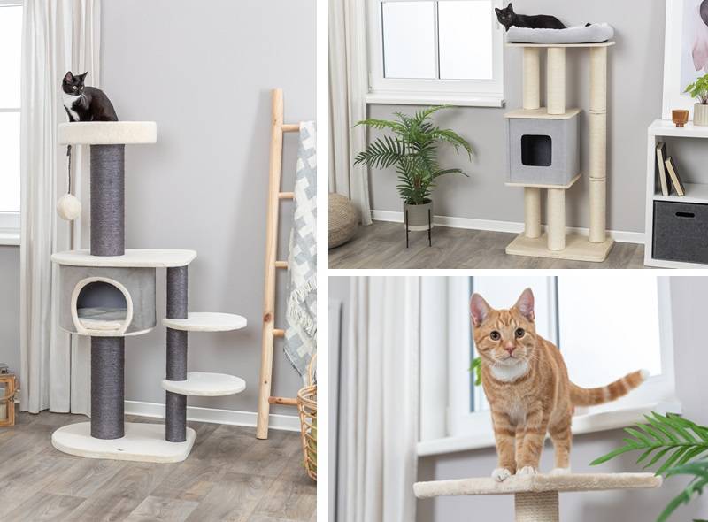 Cat Tree and Cat Scratcher