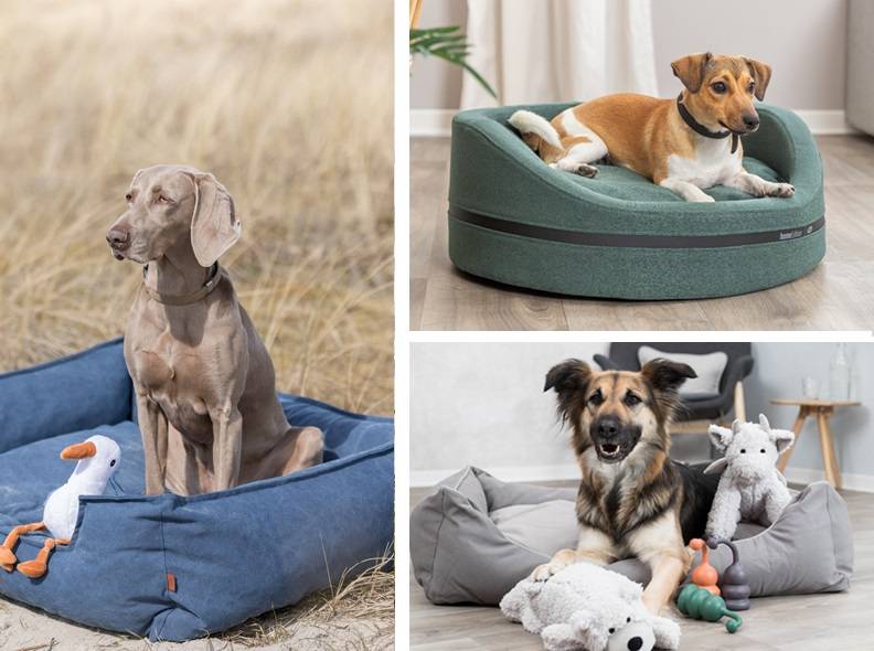 Dog Beds