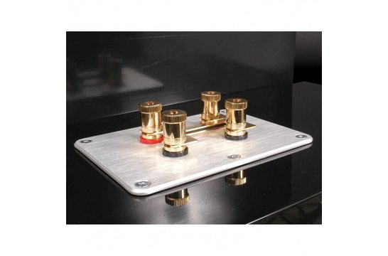 SBPP-SI Bindingpost achterplaat zilver geanodiseerd