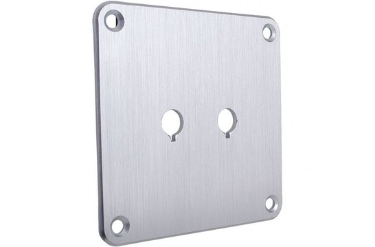 SBPP-SI Binding Post Back Plate Silver Anodized