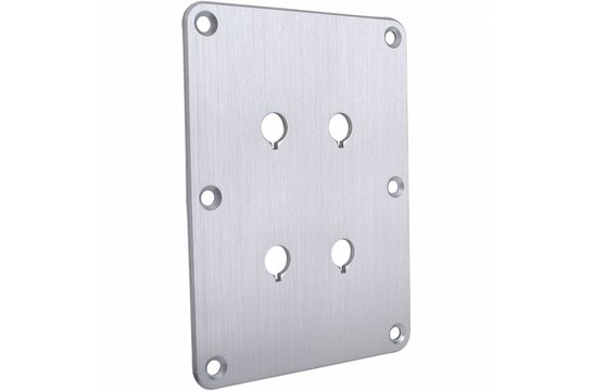 DBPP-SI Double Binding Post Backplate Silber eloxiert