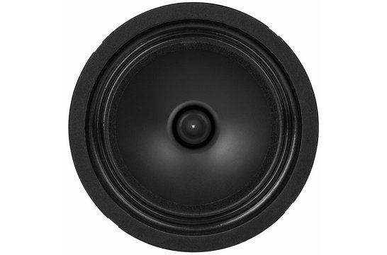 PS65LP-4 Breitbandlautsprecher