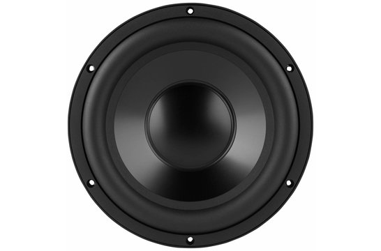 RSS265-PR Passive Radiator