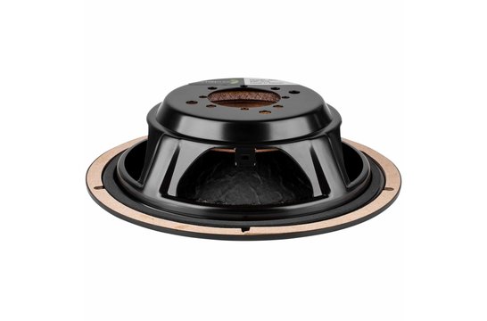 DS175-PR Radiatore Passivo