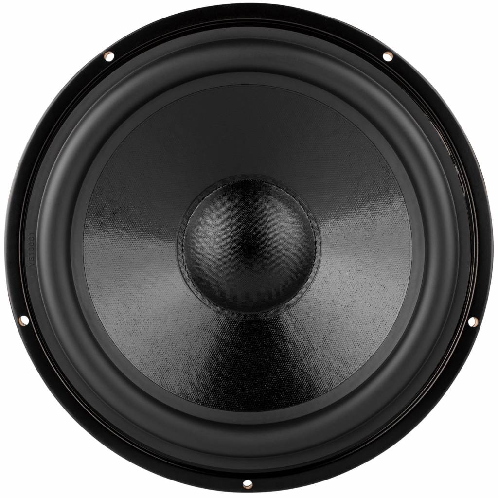 DS270-PR 10" Passive Radiator