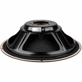 DS315-PR 12" Passive Radiator