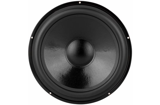 DS315-PR 12" Passive Radiator