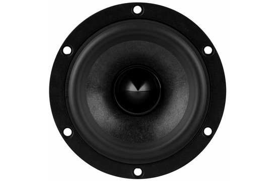 Reference RS100P-8 Woofer a Gamma Completa
