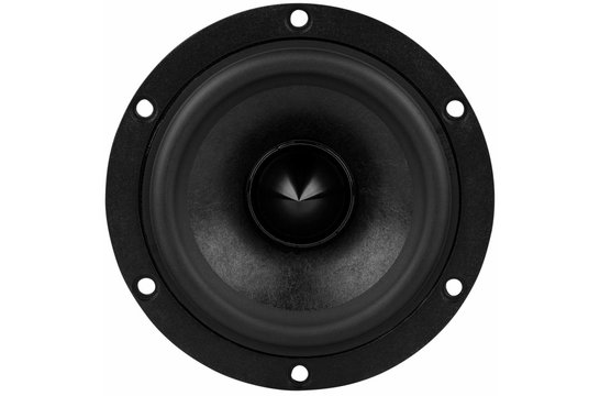 Reference RS100P-4 Woofer a Gamma Completa
