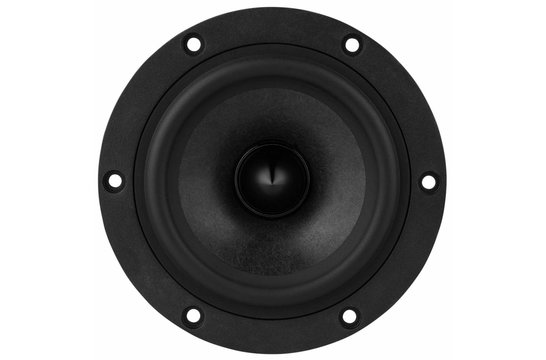 Reference RS125P-4 Woofer Medio-Bassi