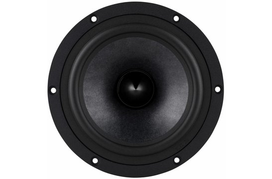 Reference RS180P-8 Bass-midwoofer