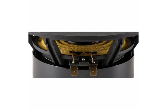 Reference RS180S-8 Woofer Medio-Bassi