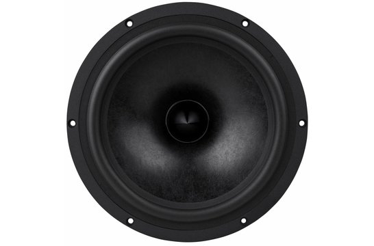 Reference RS270P-4A Tieftöner