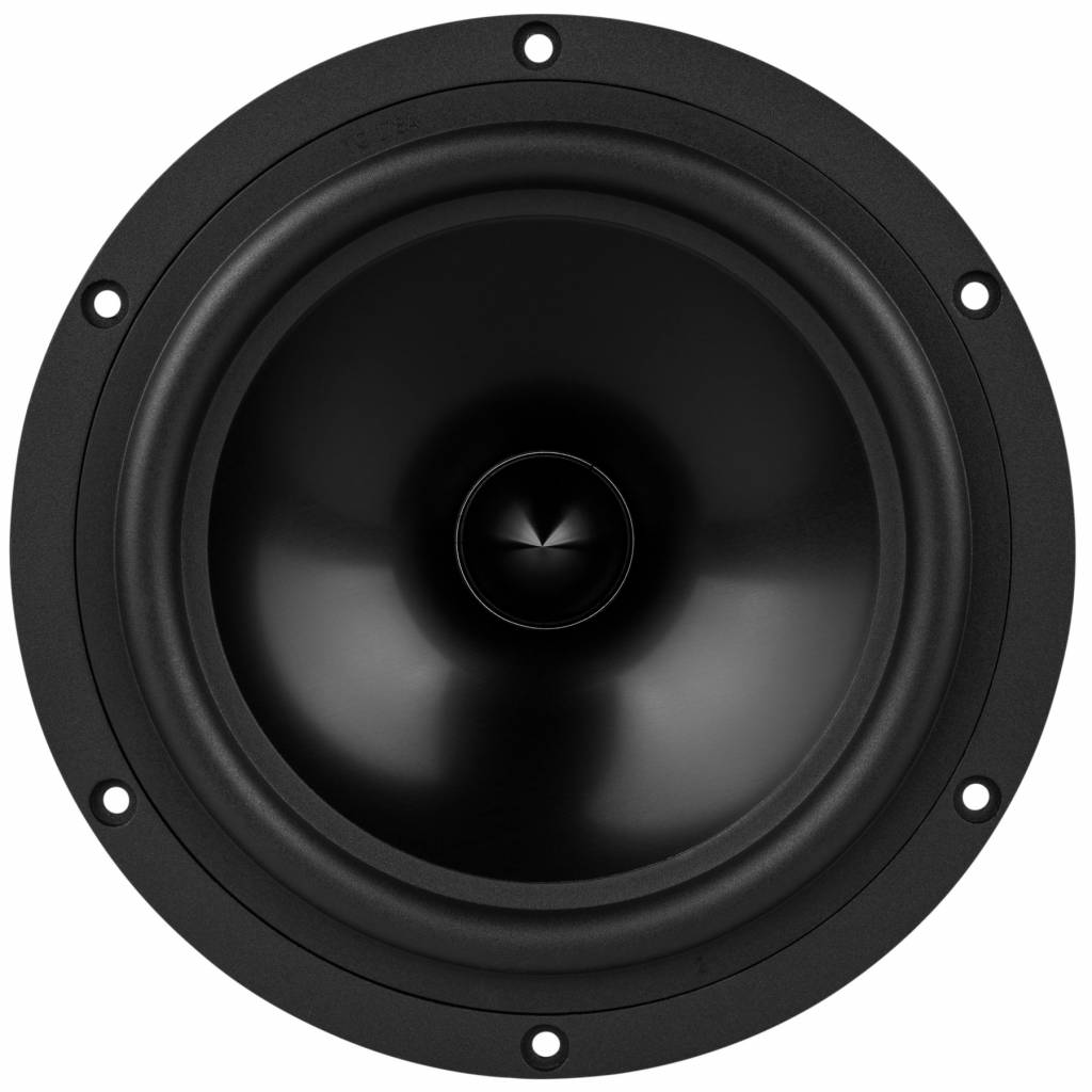 Reference RS225-8 Woofer Medio-Bassi