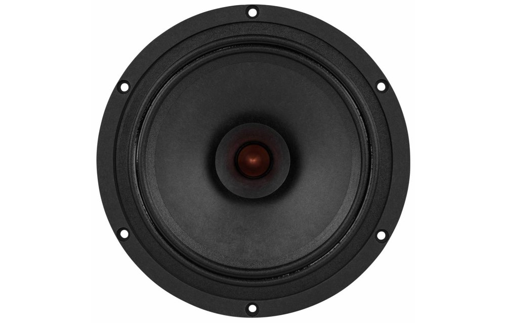 PS220-8 Full-range Woofer