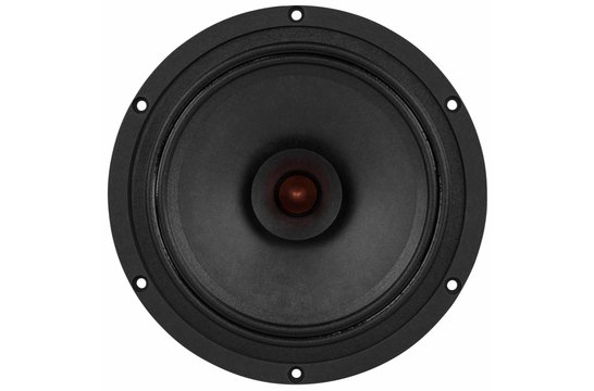PS220-8 Woofer a Gamma Completa