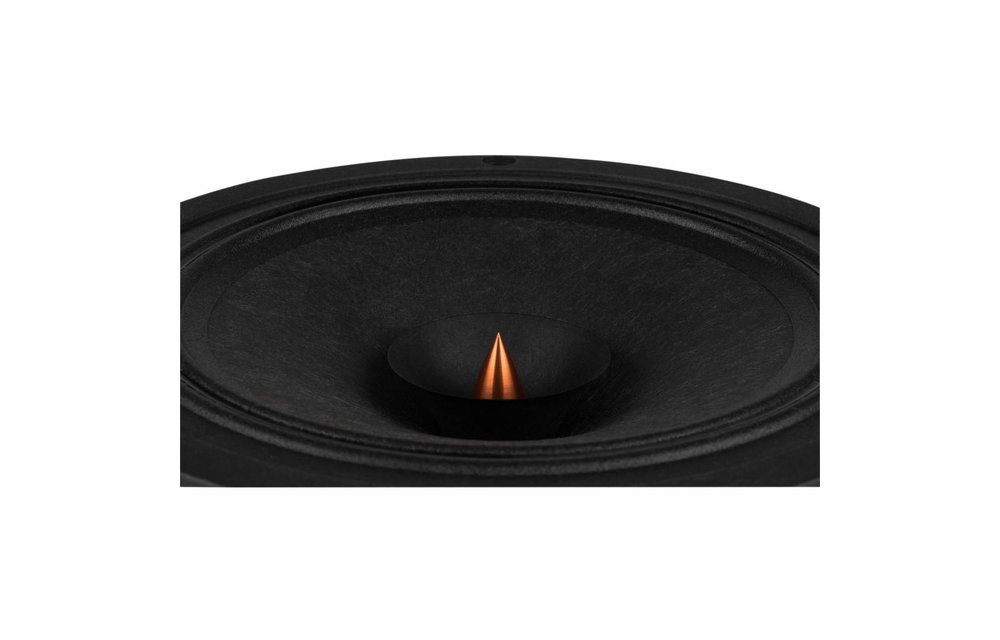 PS220-8 Full-range Woofer