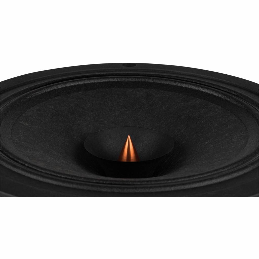 PS220-8 Woofer a Gamma Completa