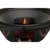 PS220-8 Full-range Woofer