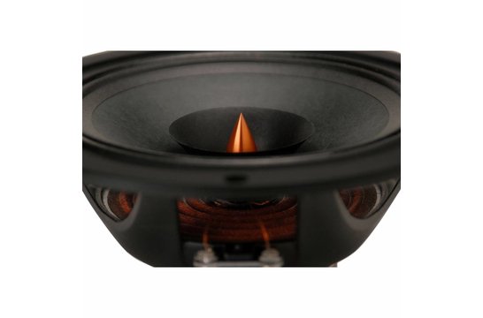 PS220-8 Woofer a Gamma Completa