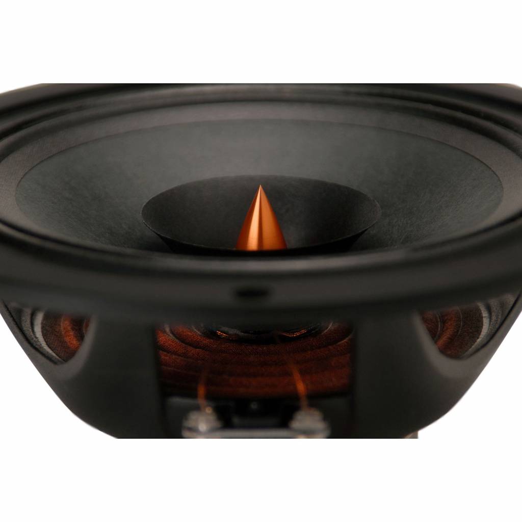 PS220-8 Woofer a Gamma Completa