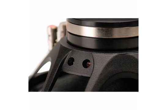 PS220-8 Woofer a Gamma Completa