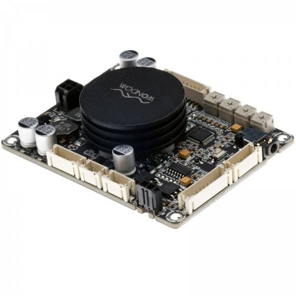 AA-JA32172 2 x 50 Watt Class D Audio Scheda Amplificatore